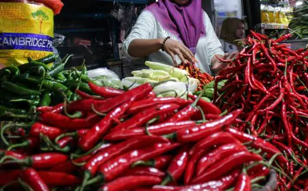 Harga Cabai di Malang Raya Melonjak Jelang Natal dan Tahun Baru, Rawit Merah Tembus Rp90 Ribu per Kg