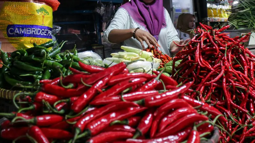 Harga Cabai di Malang Raya Melonjak Jelang Natal dan Tahun Baru, Rawit Merah Tembus Rp90 Ribu per Kg