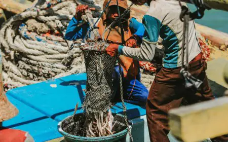 Harga Ikan dan Udang Anjlok, Nelayan Gresik Mengaku Pendapatan Terus Menyusut