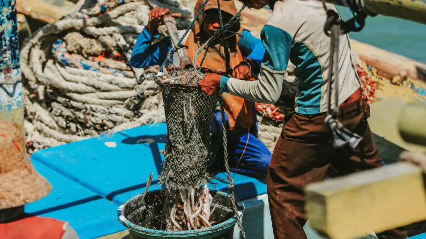 Harga Ikan dan Udang Anjlok, Nelayan Gresik Mengaku Pendapatan Terus Menyusut