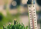 Suhu Kota Batu Diprediksi Turun hingga 13 Derajat Celsius, Fenomena Bediding Mulai Terasa