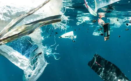 Indonesia Darurat Sampah Plastik, Mengapa Masih Sulit Dikurangi?