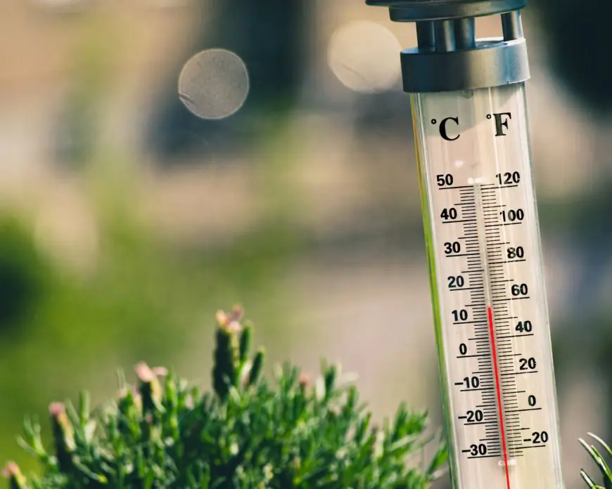 Suhu Kota Batu Diprediksi Turun hingga 13 Derajat Celsius, Fenomena Bediding Mulai Terasa