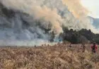Kebakaran Bromo Meluas, Lima Akses Wisata Masih Ditutup