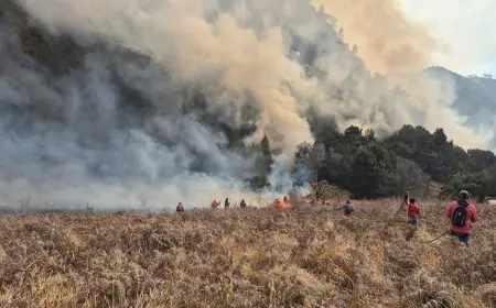 Kebakaran Bromo Meluas, Lima Akses Wisata Masih Ditutup