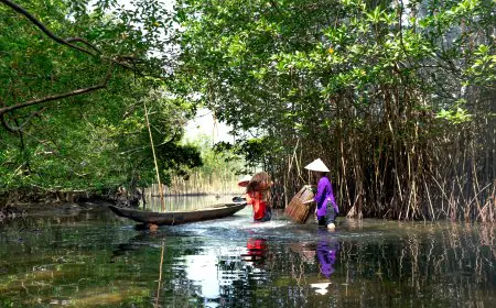 Wisata Hutan Mangrove Surabaya Makin Dikenal, tapi Kesadaran Pengunjung Dinilai Masih Kurang