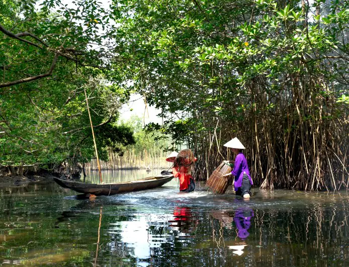 Wisata Hutan Mangrove Surabaya Makin Dikenal, tapi Kesadaran Pengunjung Dinilai Masih Kurang