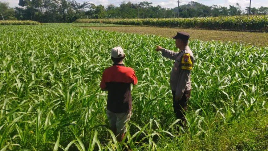 Ketahanan Pangan Tak Cukup Dimulai, Harus Terus Berjalan