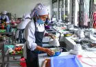 Magang Nasional Bisa Jadi Jalan Kerja? Ini Data 30 Ribu Lulusan