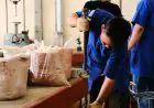 UU Pelindungan Ketenagakerjaan Resmi Disahkan, Ijazah Tak Boleh Ditahan. Ini yang Berubah