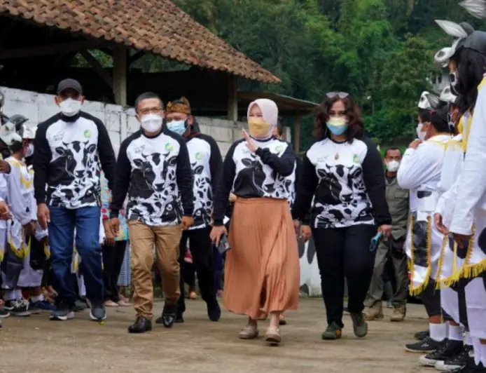 “Festival Nyusu Bareng 2026” di Brau, Saat Komoditas Menjadi Daya Tarik Wisata