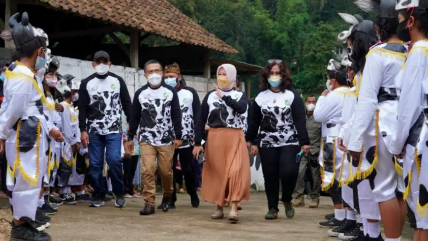 “Festival Nyusu Bareng 2026” di Brau, Saat Komoditas Menjadi Daya Tarik Wisata